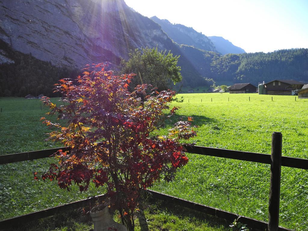 Mountain Lodge Urweider Иннерткирхен Экстерьер фото