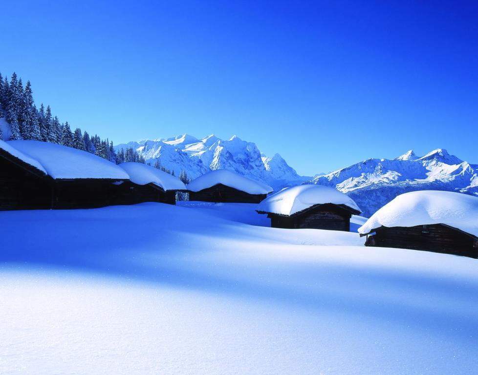 Mountain Lodge Urweider Иннерткирхен Экстерьер фото