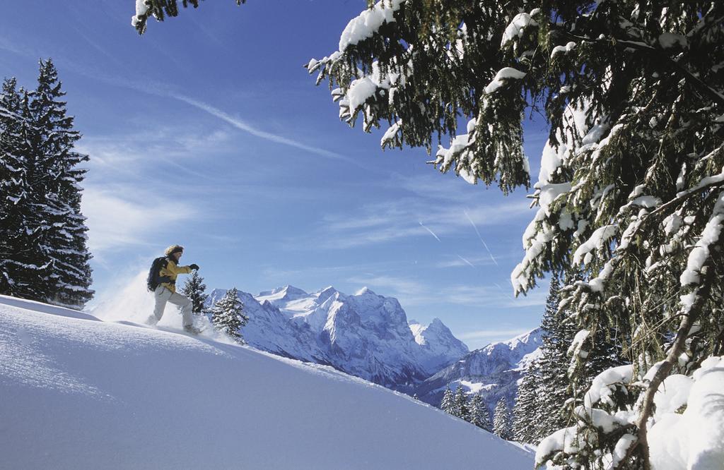 Mountain Lodge Urweider Иннерткирхен Экстерьер фото