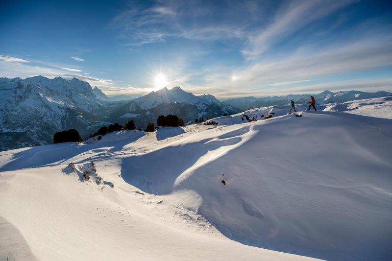 Mountain Lodge Urweider Иннерткирхен Экстерьер фото